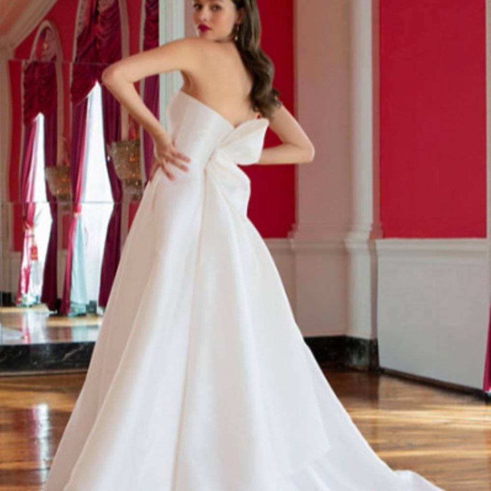 Amsale Pina Gown